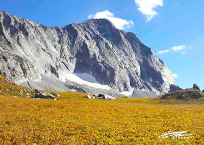 Sunny Capitol Peak